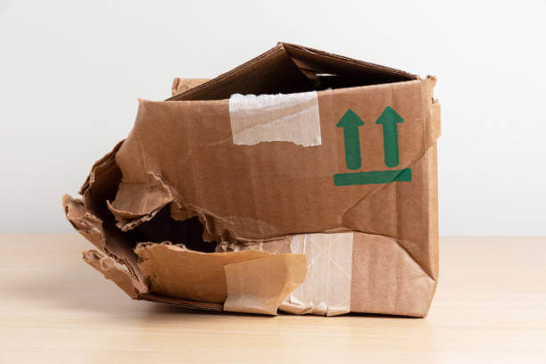 istockphoto-1215484506-612×612